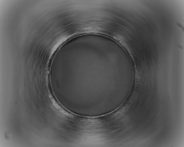 X0000103470941200809191832