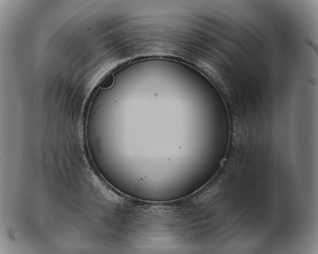 X0000103470942200809191832