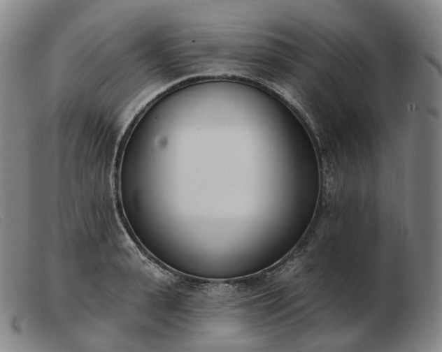 X0000103470943200809191832