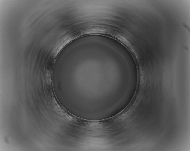 X0000103470945200809191832