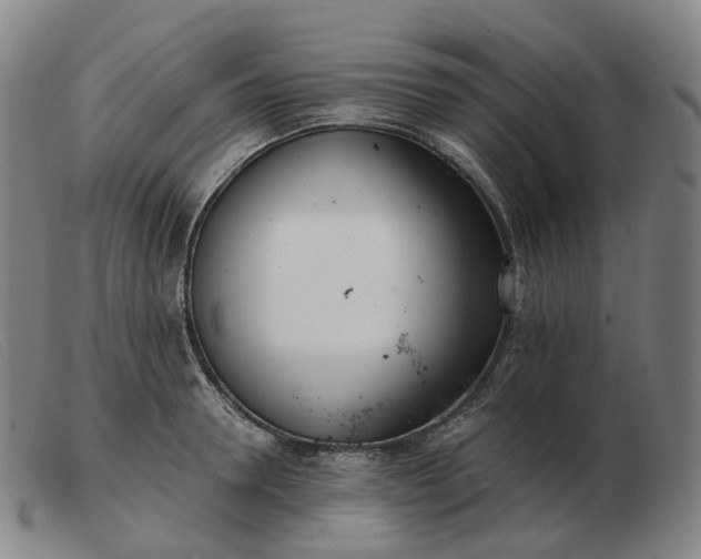 X0000103470946200809191832