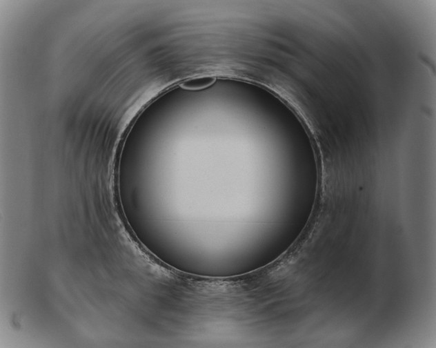 X0000103470949200809191832