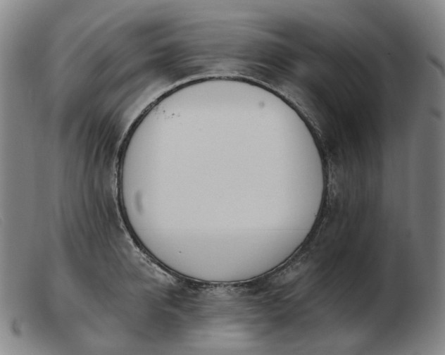 X0000103470950200809191832