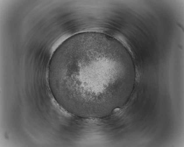 X0000103470952200809191832