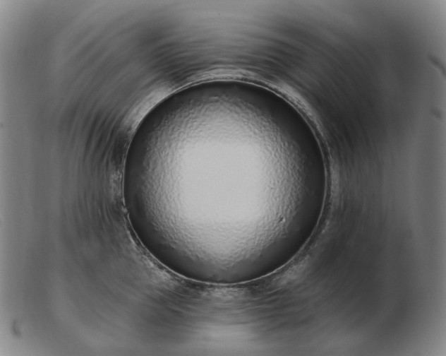 X0000103470953200809191832