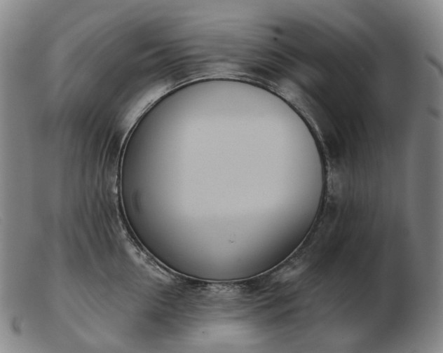 X0000103470954200809191832