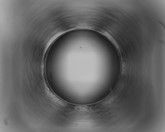 X0000103470955200809191832