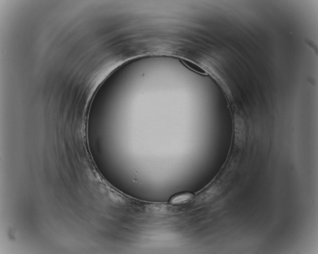 X0000103470956200809191832