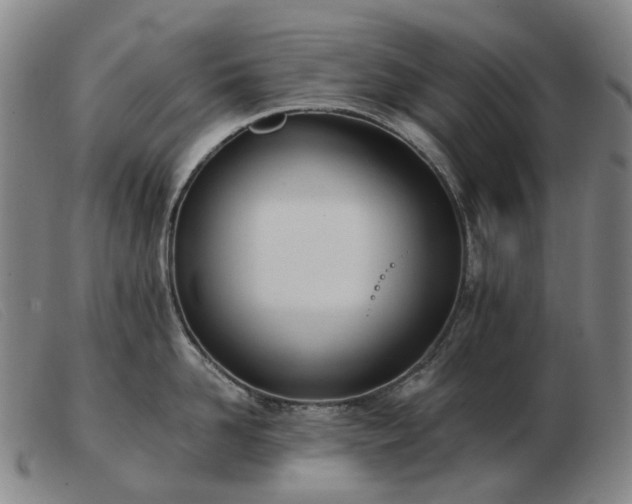 X0000103470958200809191832