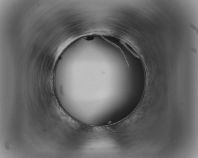 X0000103470960200809191832