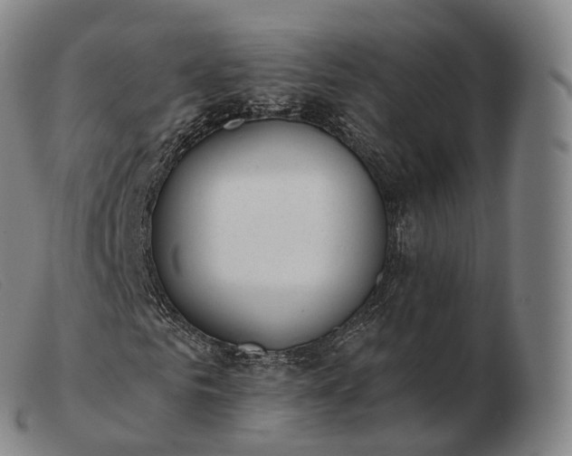 X0000103470961200809191832