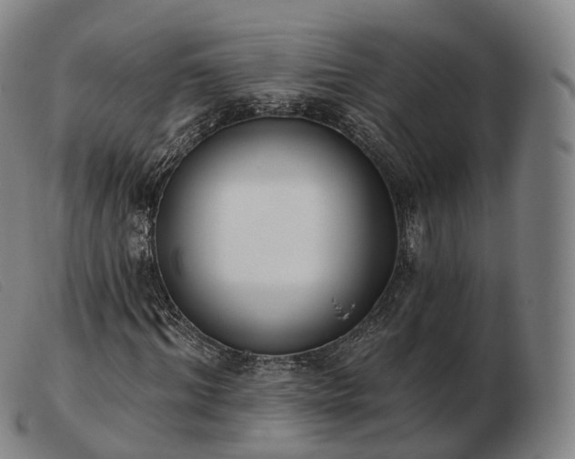 X0000103470964200809191832