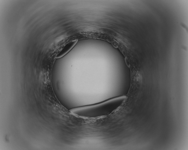 X0000103470965200809191832