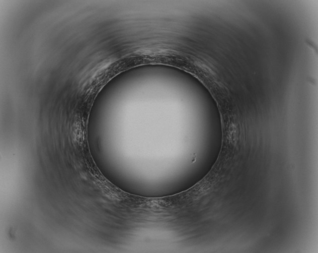 X0000103470966200809191831