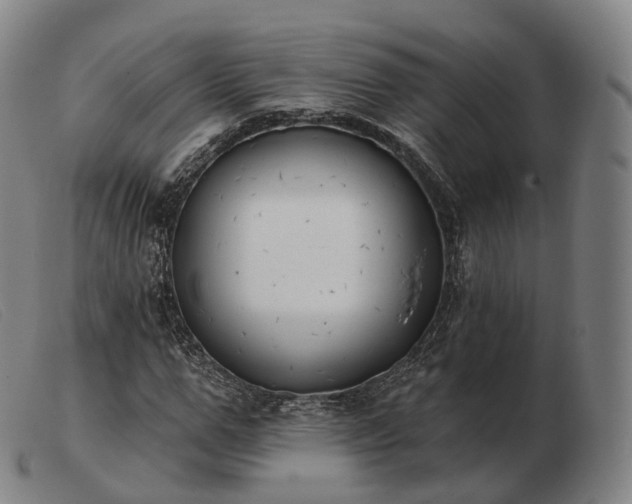 X0000103470967200809191831