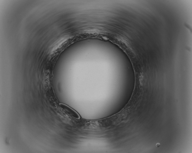 X0000103470968200809191831