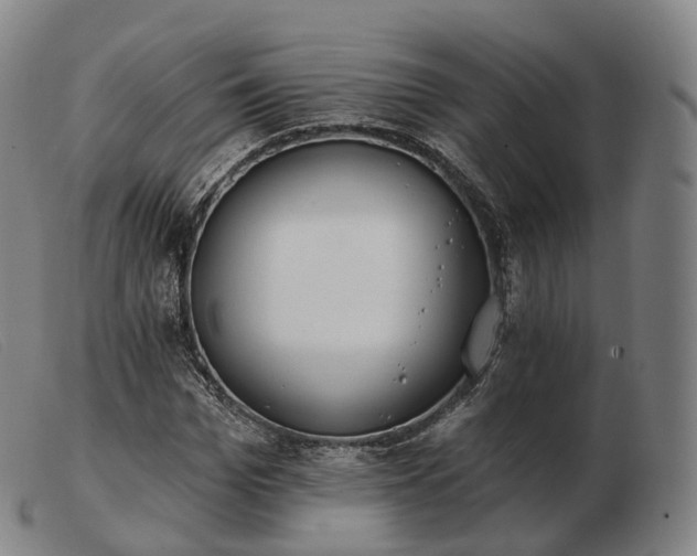 X0000103470969200809191831