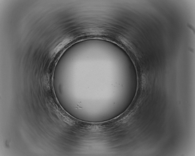 X0000103470970200809191831