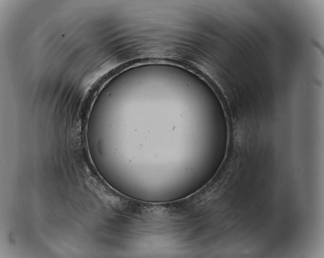 X0000103470971200809191831