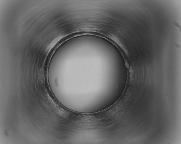 X0000103470972200809191831