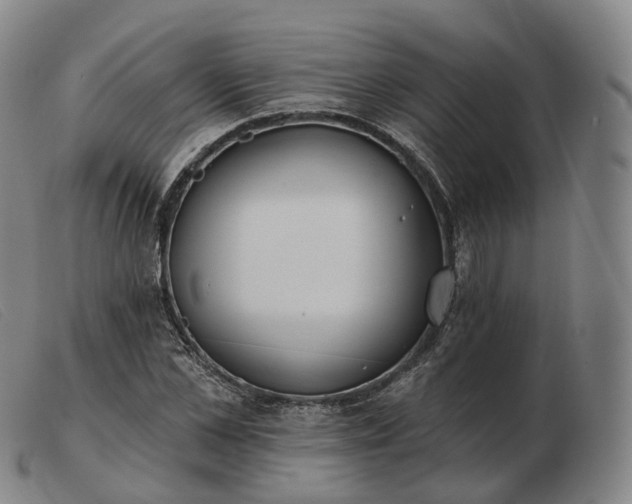 X0000103470973200809191831