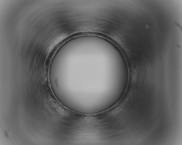 X0000103470974200809191831