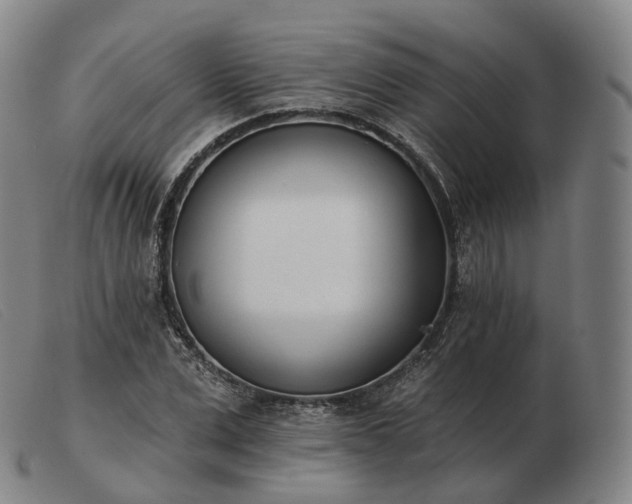 X0000103470975200809191831