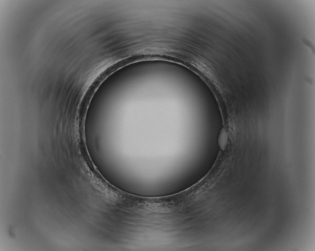 X0000103470976200809191831