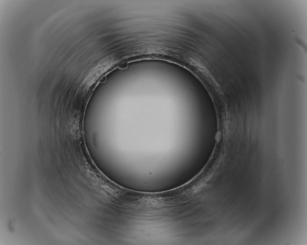 X0000103470977200809191831