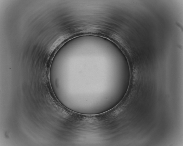 X0000103470978200809191831