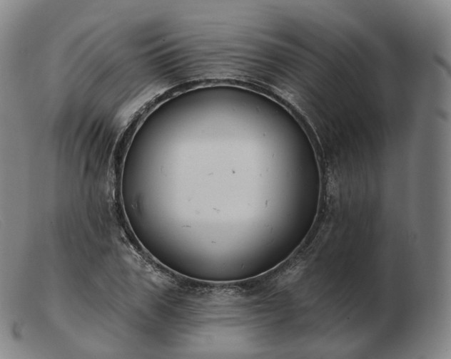 X0000103470979200809191831