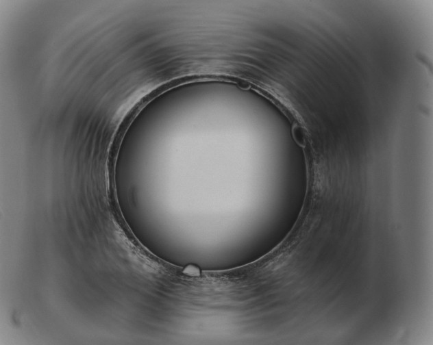 X0000103470980200809191831