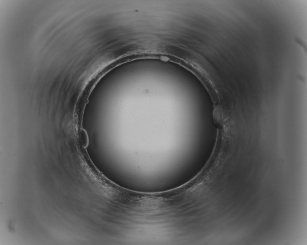 X0000103470981200809191831