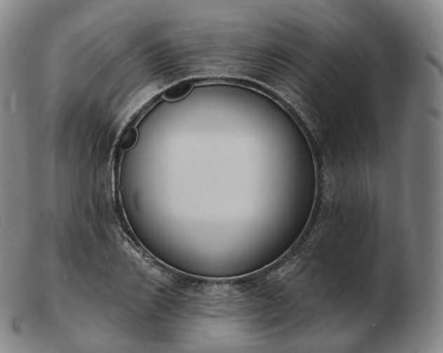 X0000103470982200809191831