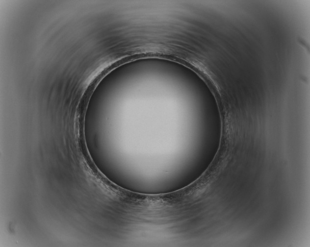 X0000103470983200809191831