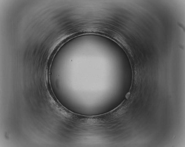 X0000103470984200809191831