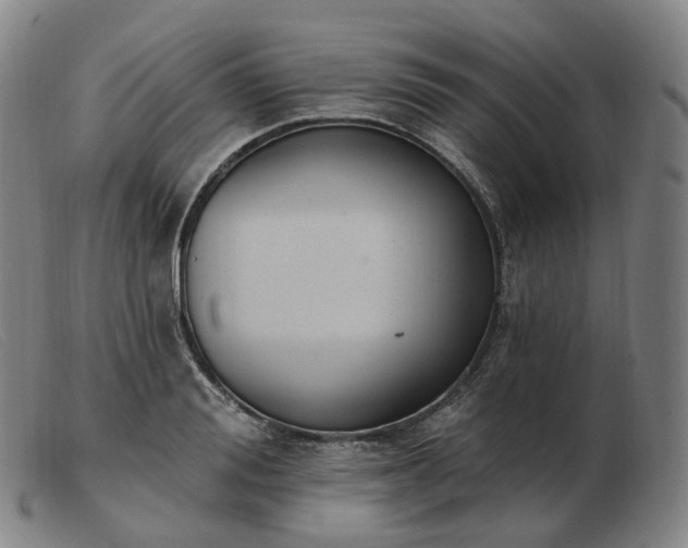 X0000103470988200809191831