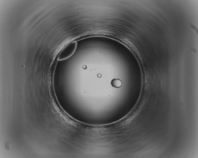 X0000103470989200809191831