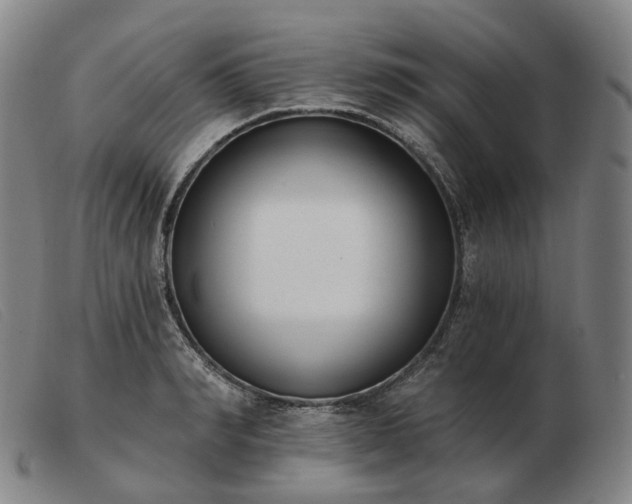 X0000103470990200809191831