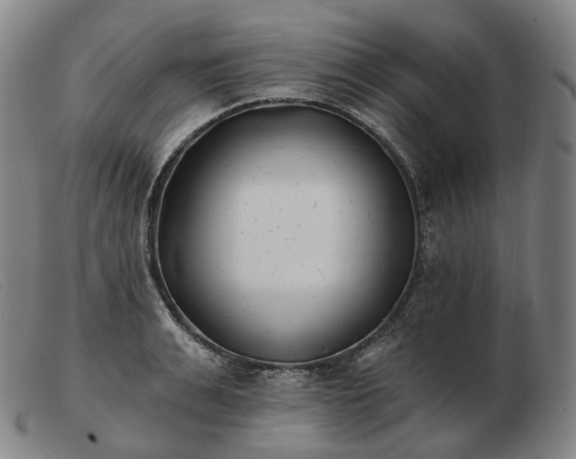 X0000103470991200809191831