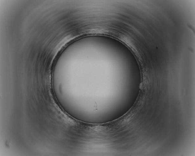 X0000103470992200809191831