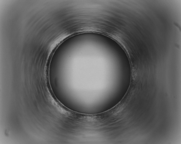 X0000103470995200809191831