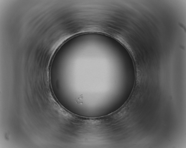 X0000103470996200809191831