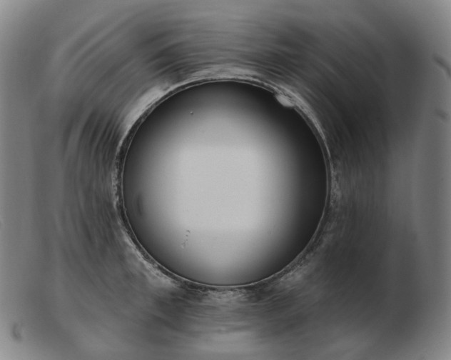 X0000103470997200809191831