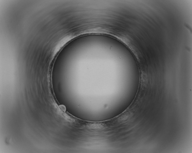 X0000103470998200809191831