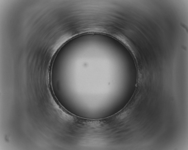 X0000103470999200809191831