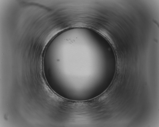 X0000103471000200809191831