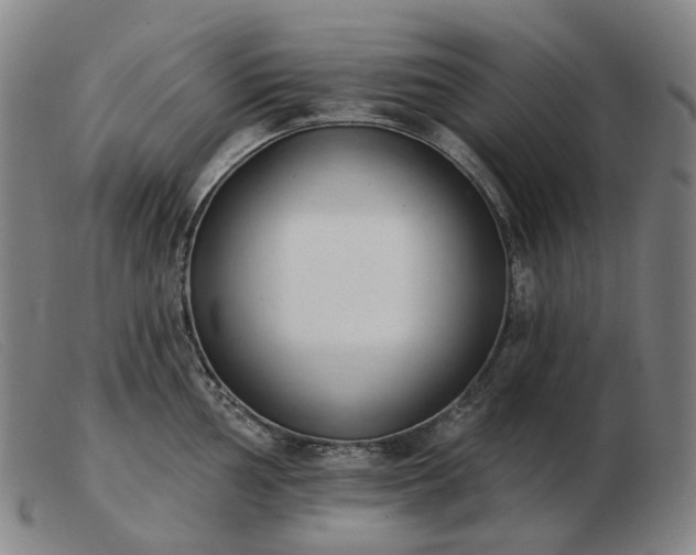 X0000103471002200809191831