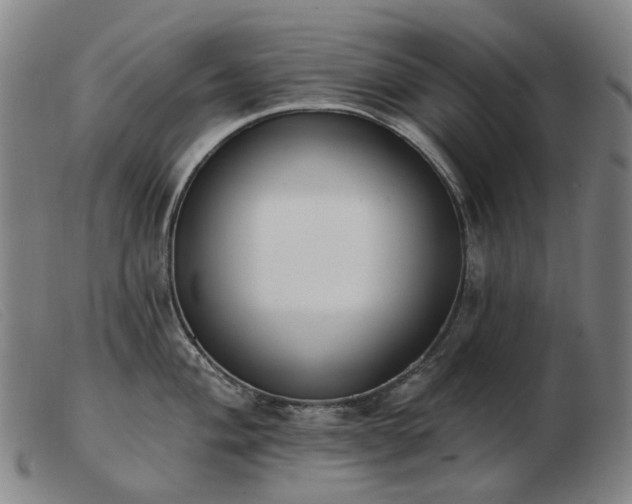 X0000103471004200809191831