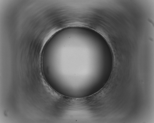 X0000103471008200809191831